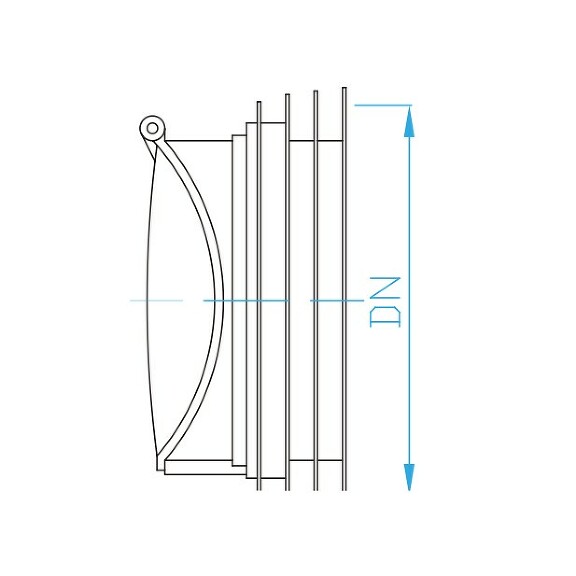 View Non return valve internal DN 110